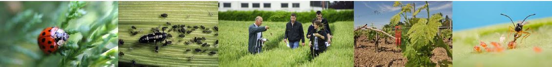 Séminaire biocontrole et expérimentation