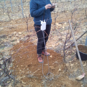 Sinafis démocratise les hautes technologies dans les vignes