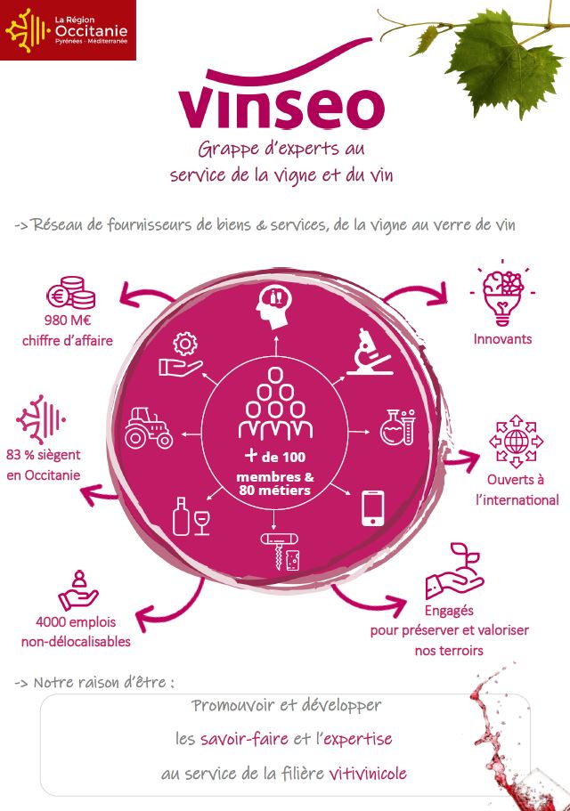 Visuel présentation Vinseo