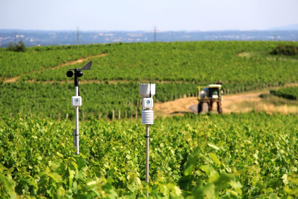 Weenat propose une gamme de huit capteurs agro-météo connectés et autonomes les uns des autres