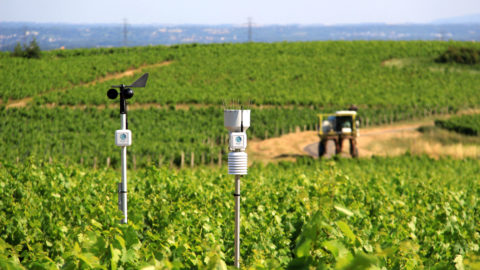 Weenat propose une gamme de huit capteurs agro-météo connectés et autonomes les uns des autres