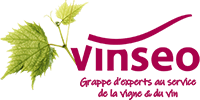 Vinseo